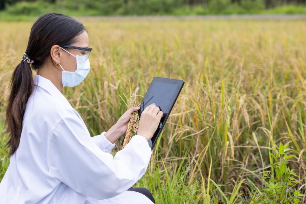 Agricultural Scientist working in farm